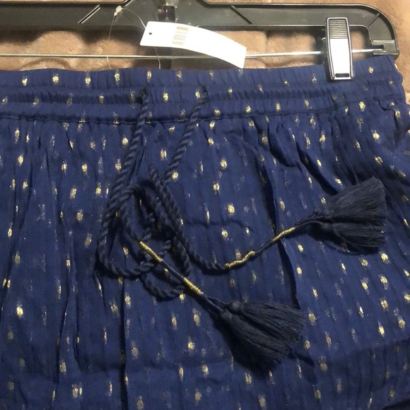 Anthropologie Primrose chiffon skirt - Picture 5 of 7